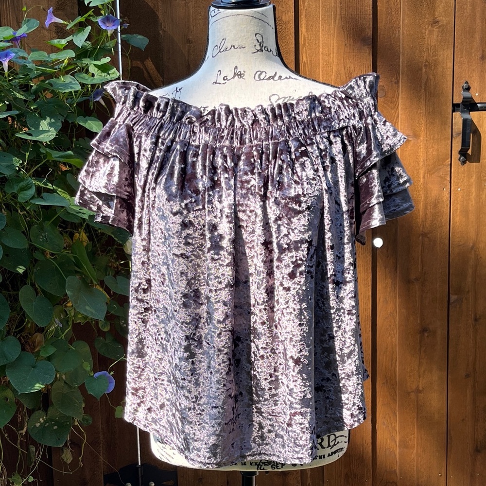 Umgee Ruffle Layer Sleeve Velvet Off-the-Shoulder Top in “Titanium” Size S, EUC